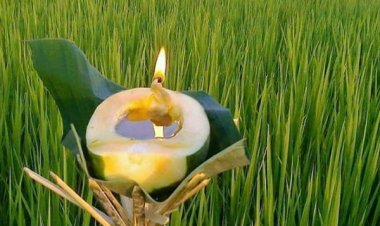 অসমীয়া সমাজ জীৱনত কাতি বিহু আৰু প্ৰচলিত লোক বিশ্বাস 