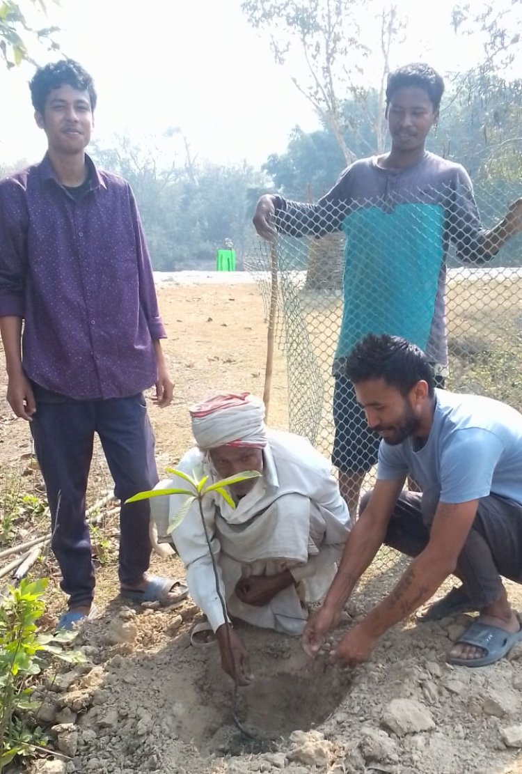 গছ পুলি ৰোপণ কাৰ্যসূচী