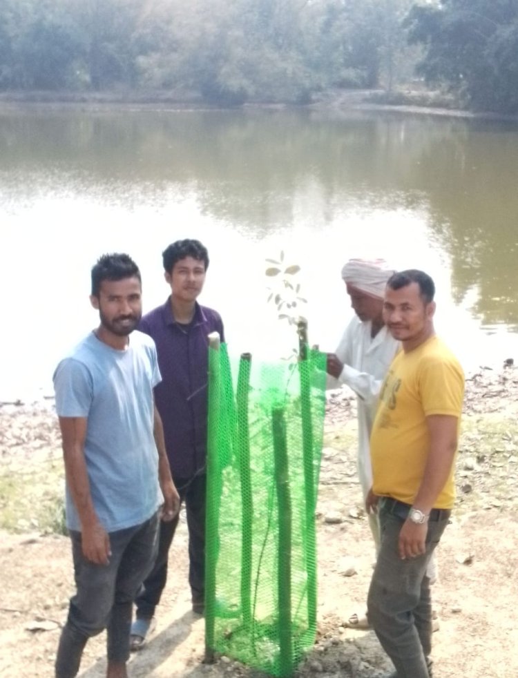 গছ পুলি ৰোপণ কাৰ্যসূচী
